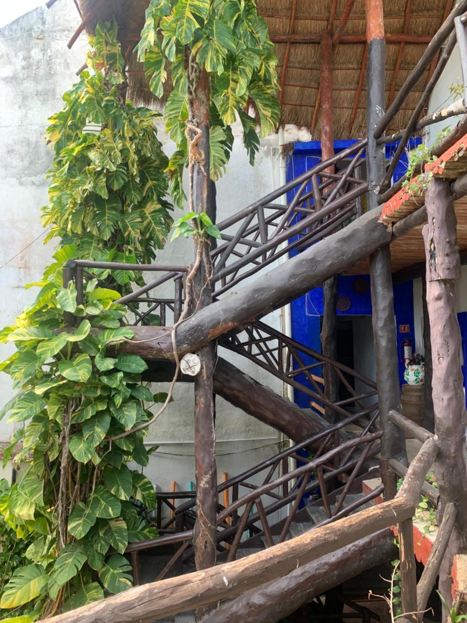 Casa Caribe Cancún Zewnętrze zdjęcie Bamboo staircase