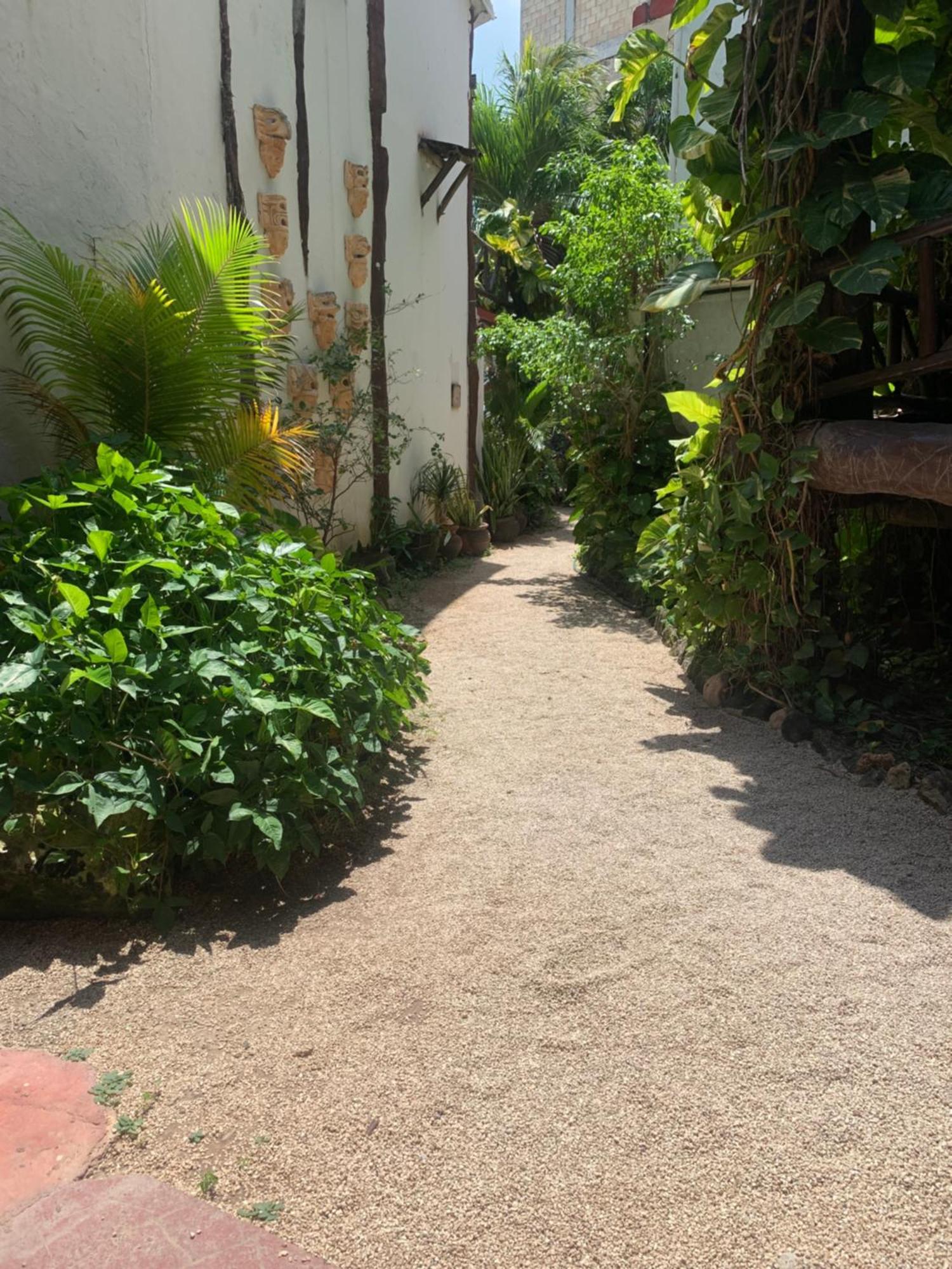 Casa Caribe Cancún Zewnętrze zdjęcie A typical alleyway in Tulum