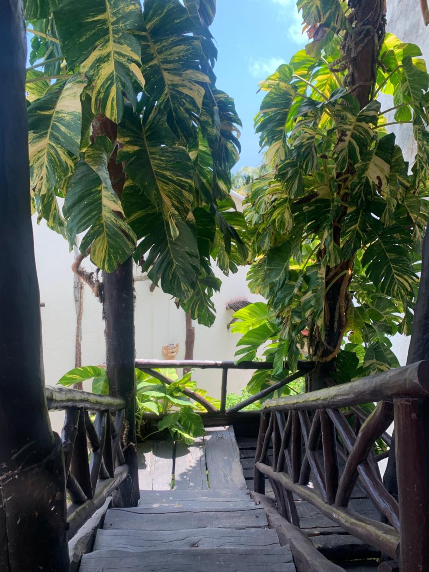 Casa Caribe Cancún Zewnętrze zdjęcie A view of the garden