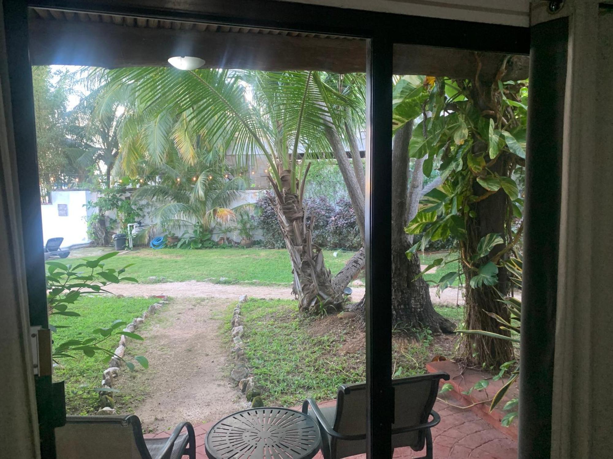 Casa Caribe Cancún Zewnętrze zdjęcie View of the garden from the living room